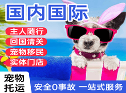 漠河古莲航空运输国际宠物托运 【国